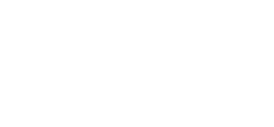 رادین صفری